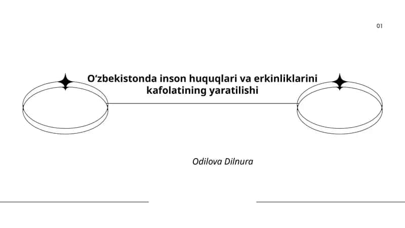 Oʻzbekistonda inson huquqlari va erkinliklarini kafolatining yaratilishi 1