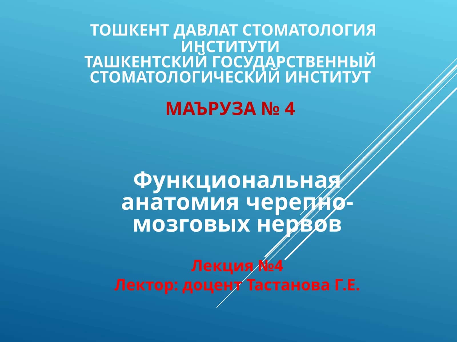 Функциональная анатомия черепно-мозговых нервов 1