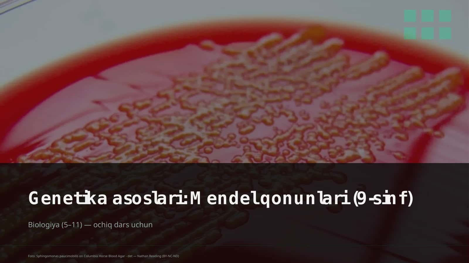 Genetika asoslari: Mendel qonunlari (9-sinf) 1