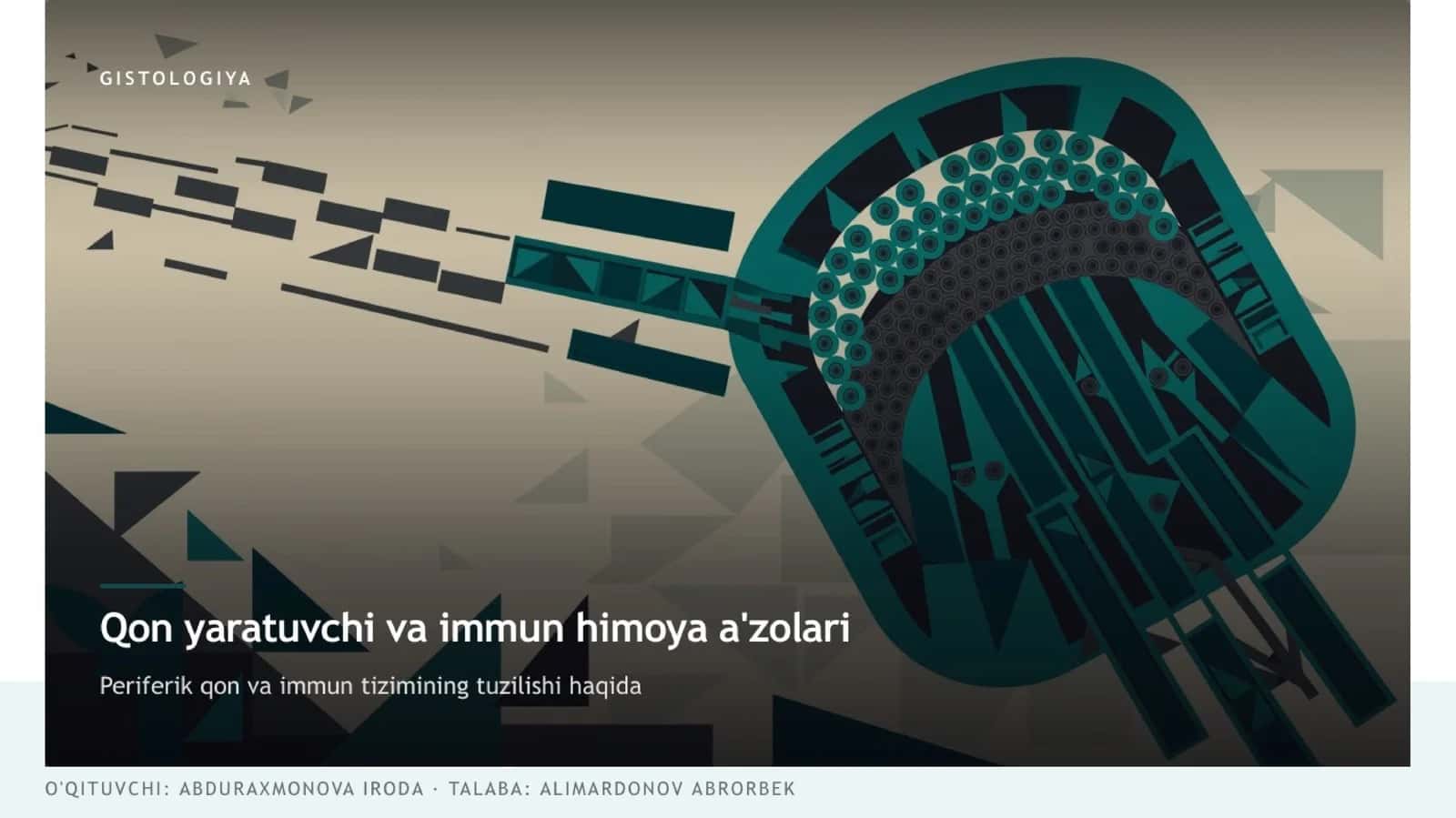 qon yaratuvchi va immun himoya azolari 1