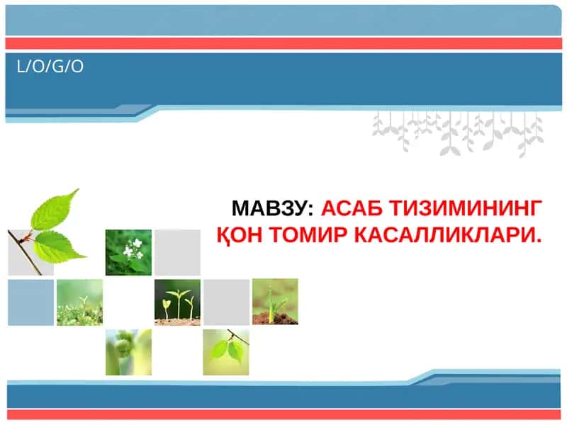 Асаб тизимининг қон томир касалликари 1