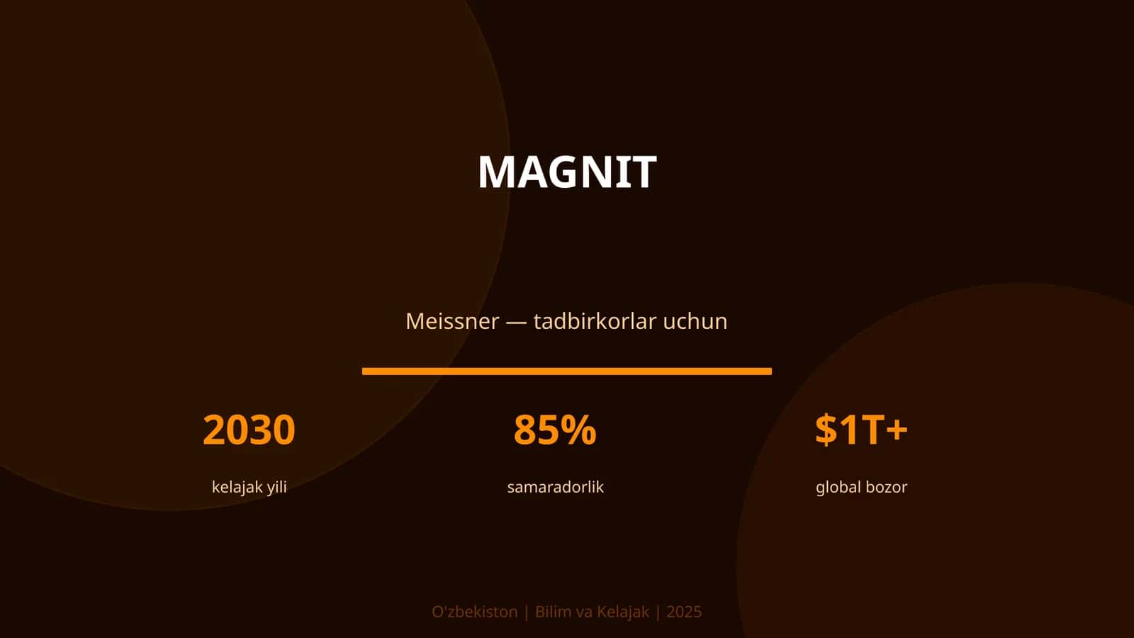 MAGNIT 1