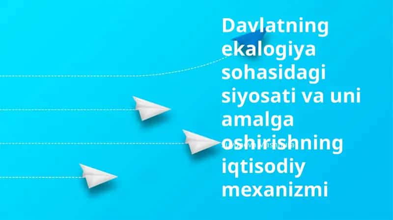 Davlatning ekalogiya sohasidagi siyosati va uni amalga oshirishning iqtisodiy mexanizmi 1
