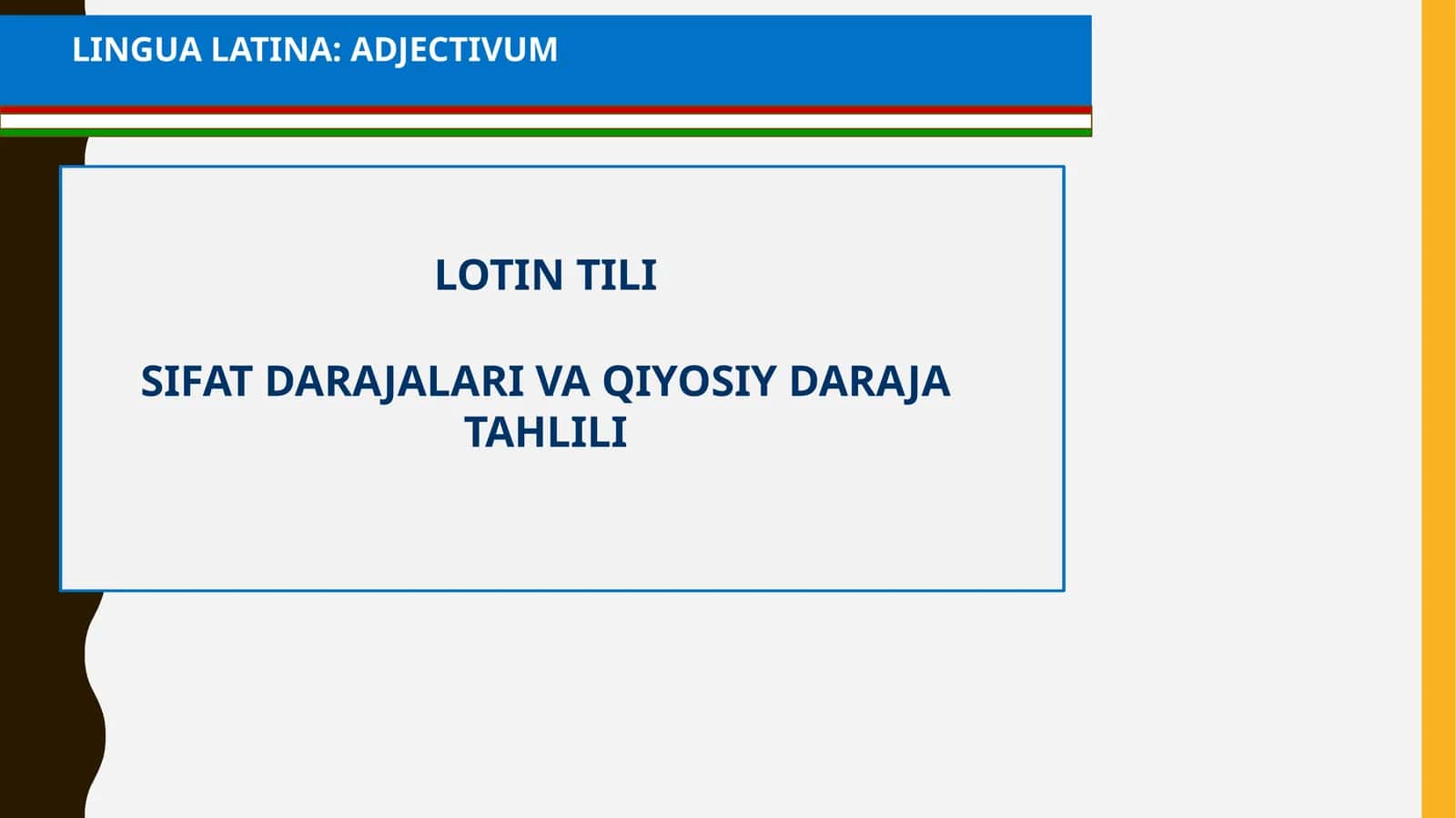 LINGUA LATINA: ADJECTIVUM 1