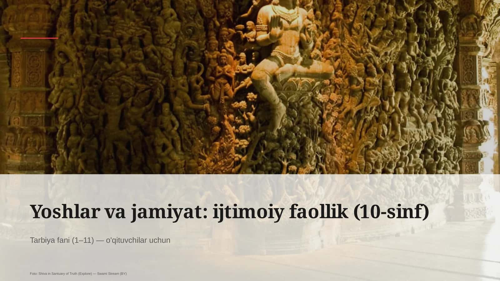Yoshlar va jamiyat: ijtimoiy faollik (10-sinf) 1