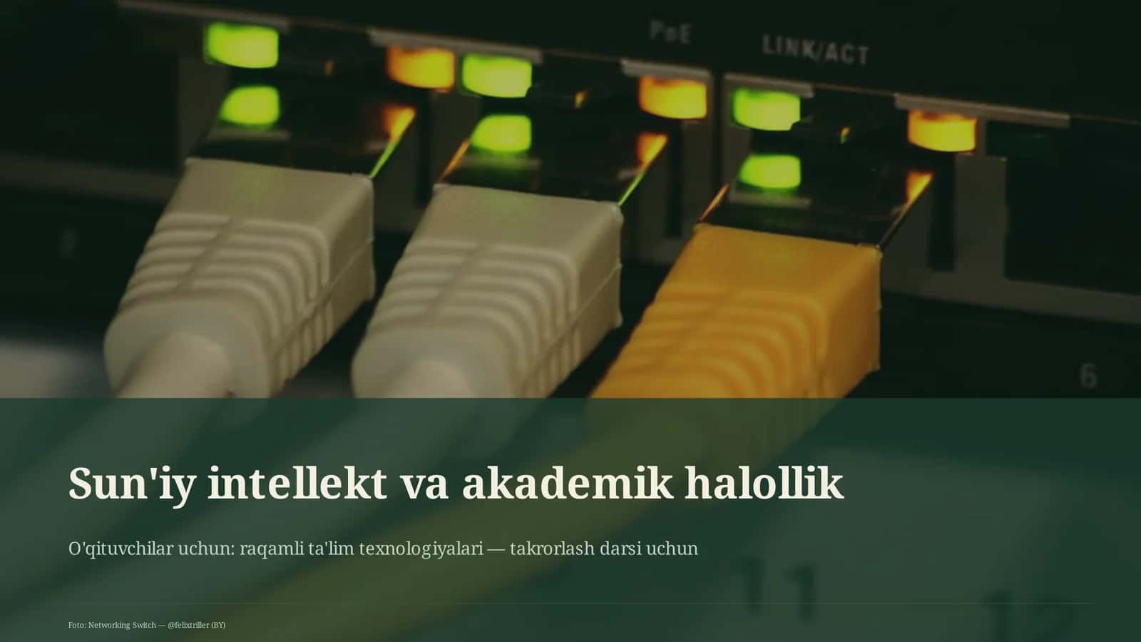 Sun'iy intellekt va akademik halollik 1