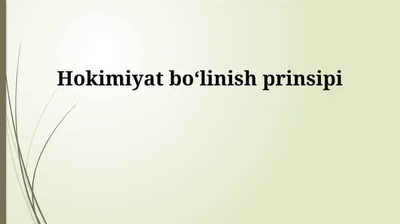 Hokimiyat boʻlinish prinsipi 1