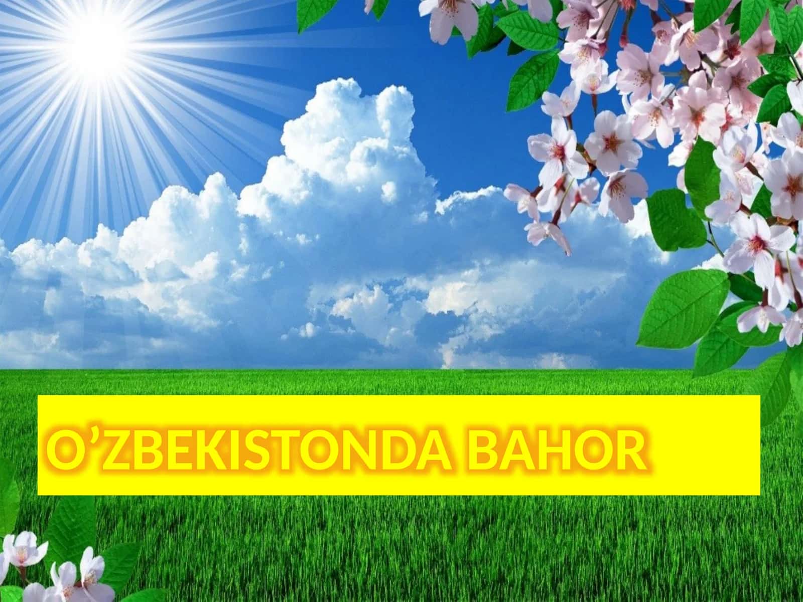 O’ZBEKISTONDA BAHOR 1
