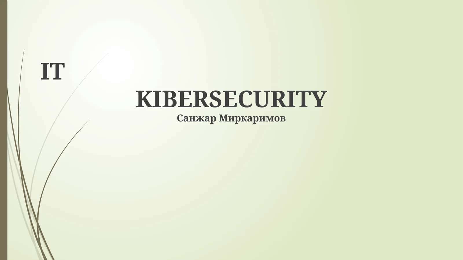 KIBERSECURITY 1