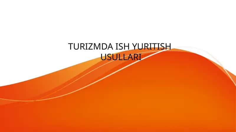 TURIZMDA ISH YURITISH USULLARI 1