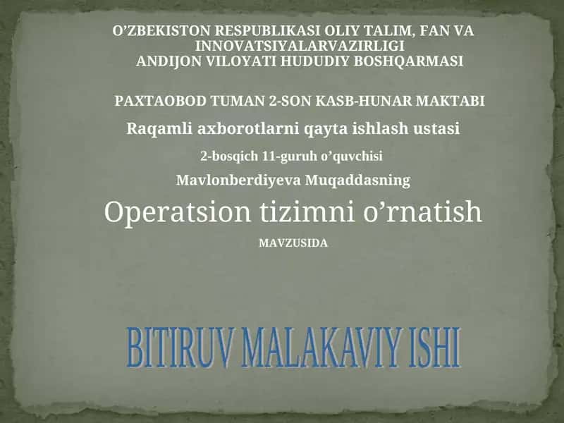 Raqamli axborotlarni qayta ishlash ustasi 1