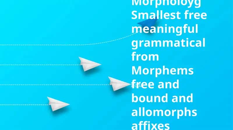 Morpheme Structure in Linguistics 1