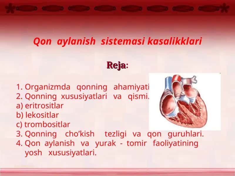 Qon aylanish sistemasi 1