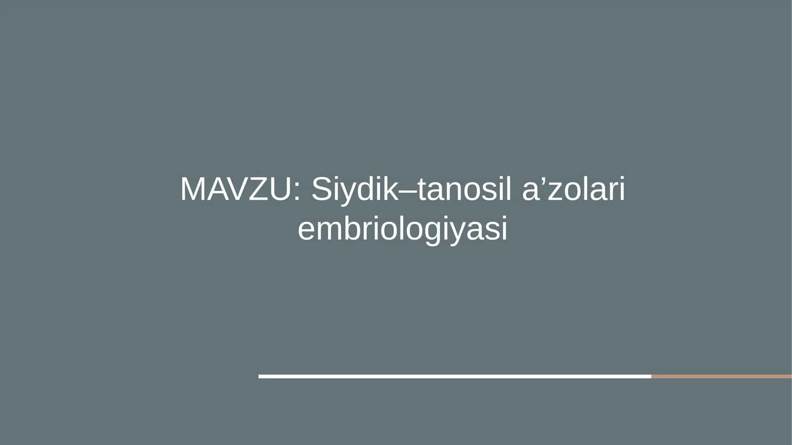 Siydik–tanosila’zolari embriologiyasi 1