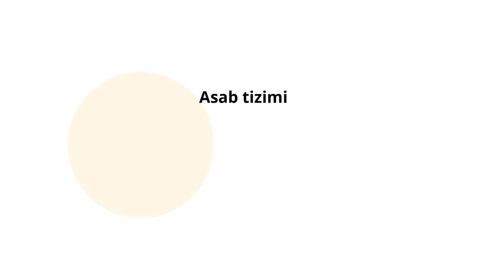 Asab tizimi 1