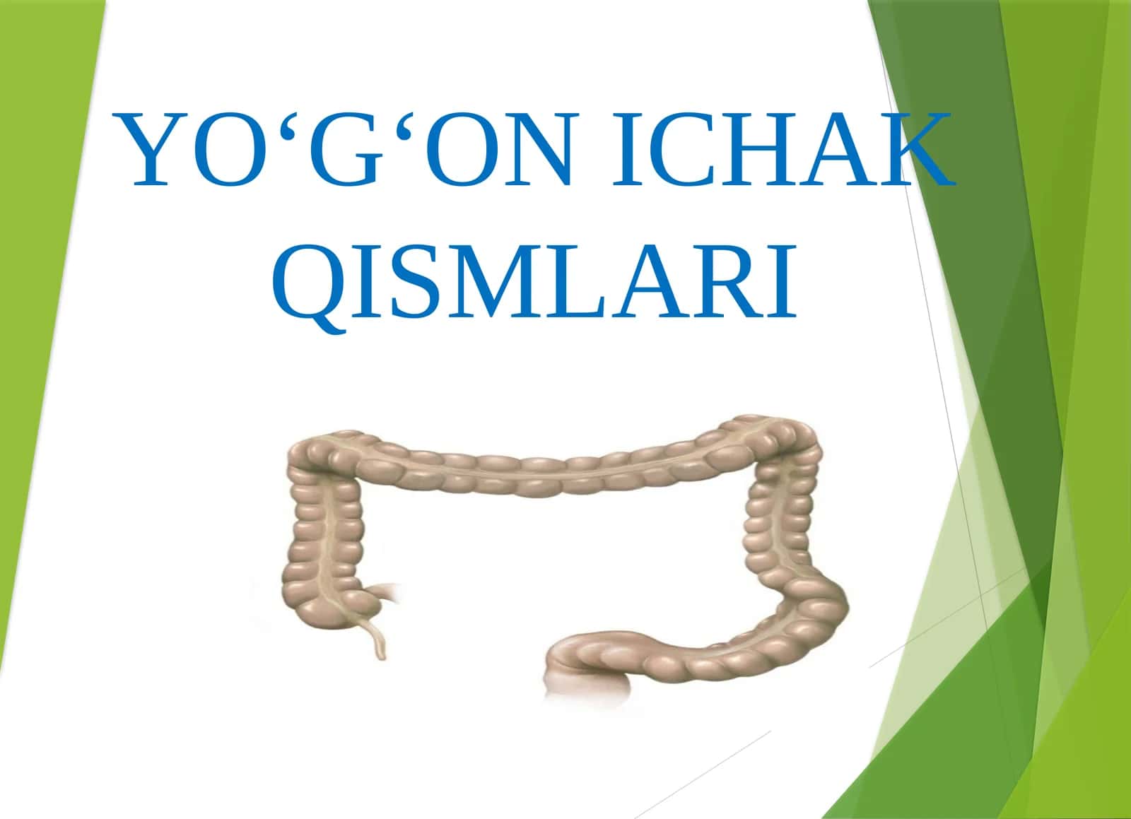 YO‘G‘ON ICHAK QISMLARI 1
