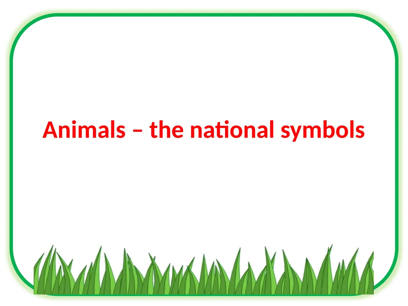 11-sinf Ingliz tili fanidan Animals as national symbols dars taqdimot 1