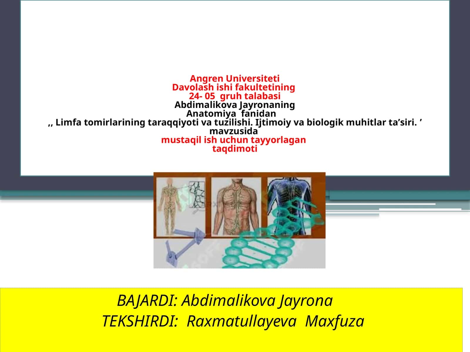 Abdimalikova Jayrona - Limfatomirlarining Taraqqiyoti va Tuzilishi 1