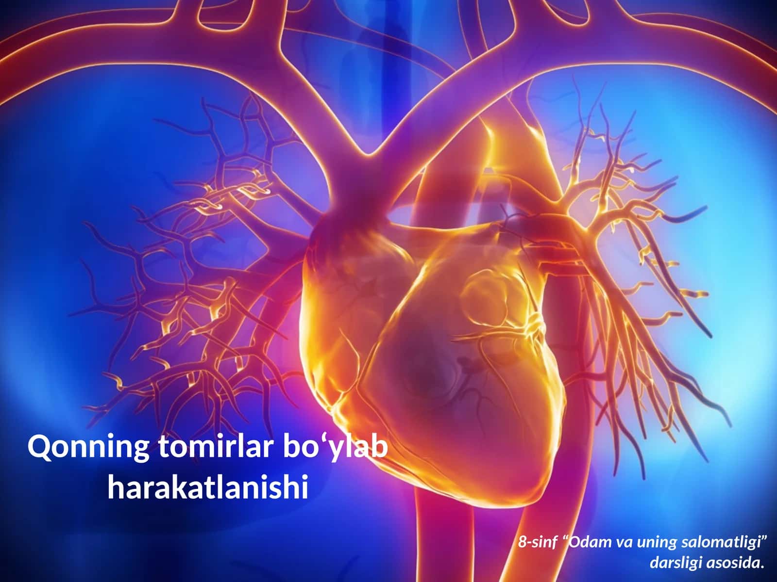 Qonning tomirlar bo‘ylab harakatlanishi 1