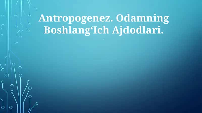 Odamlarning Boshlang'ich Ajdodlari 1
