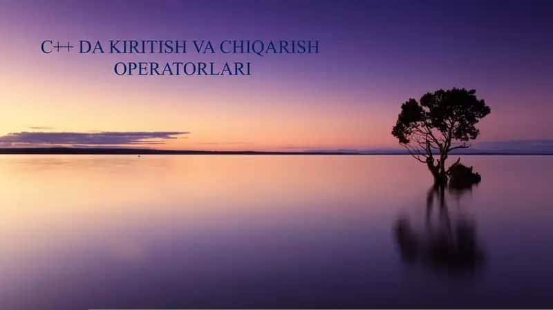 C++ DA KIRITISH VA CHIQARISH OPERATORLARI 1