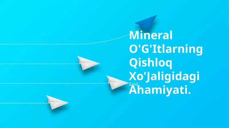 Mineral O'G'Itlarning Qishloq Xo'Jaligidagi Ahamiyati 1