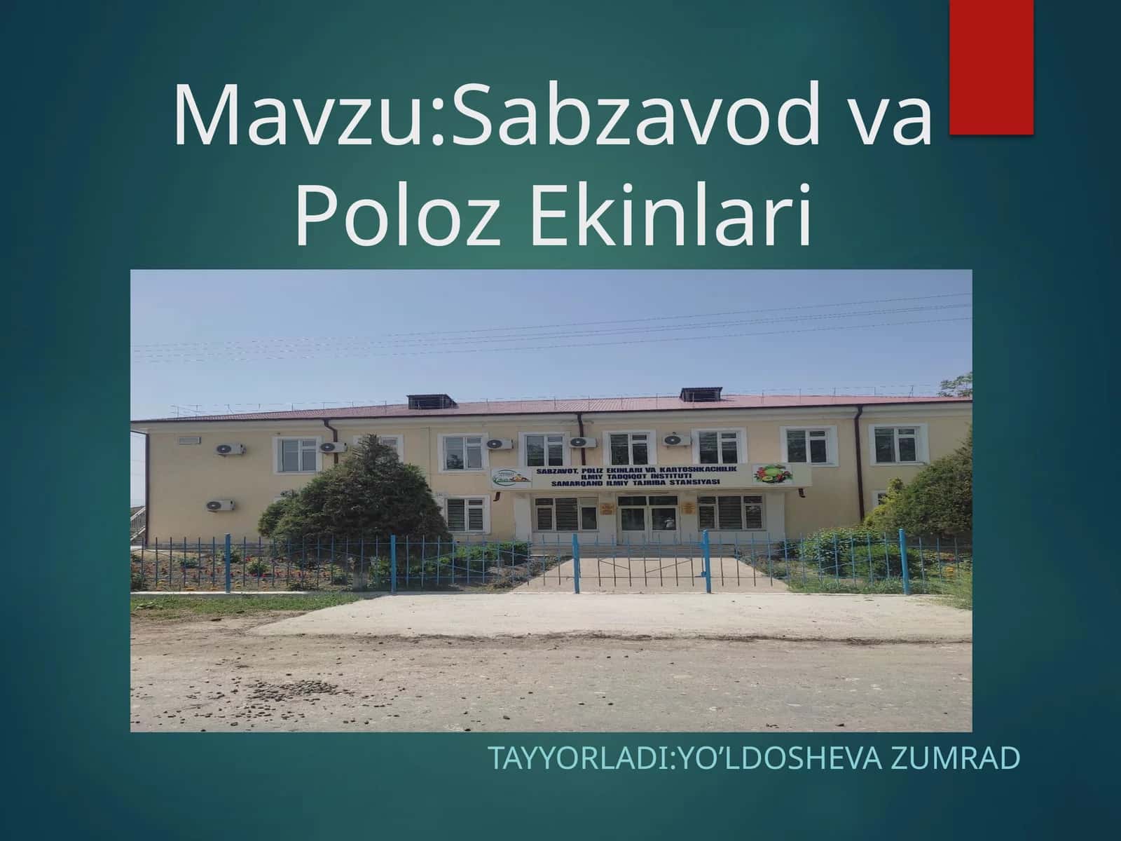 Sabzavod va Poliz Ekinlari 1