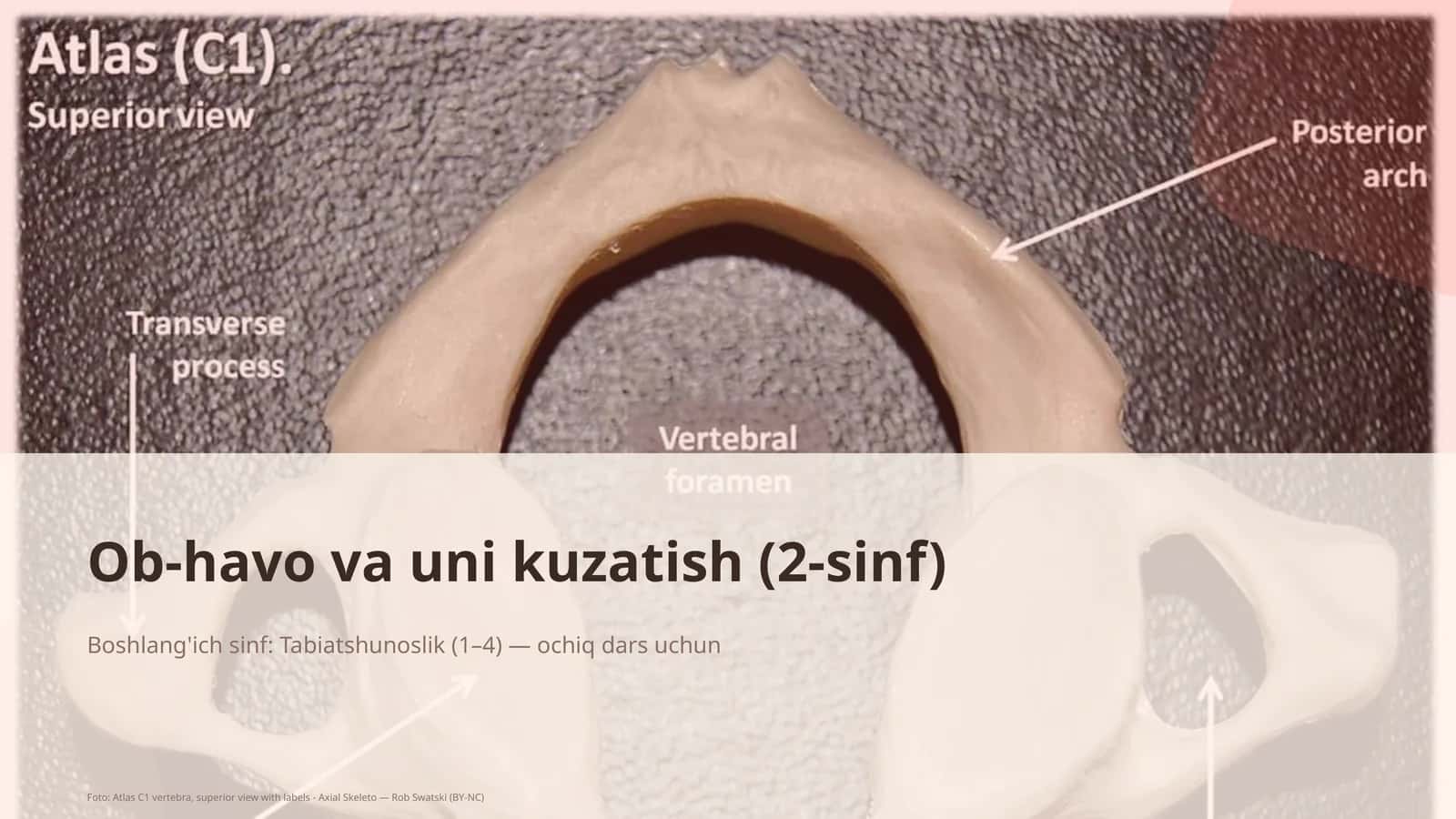 Ob-havo va uni kuzatish (2-sinf) 1