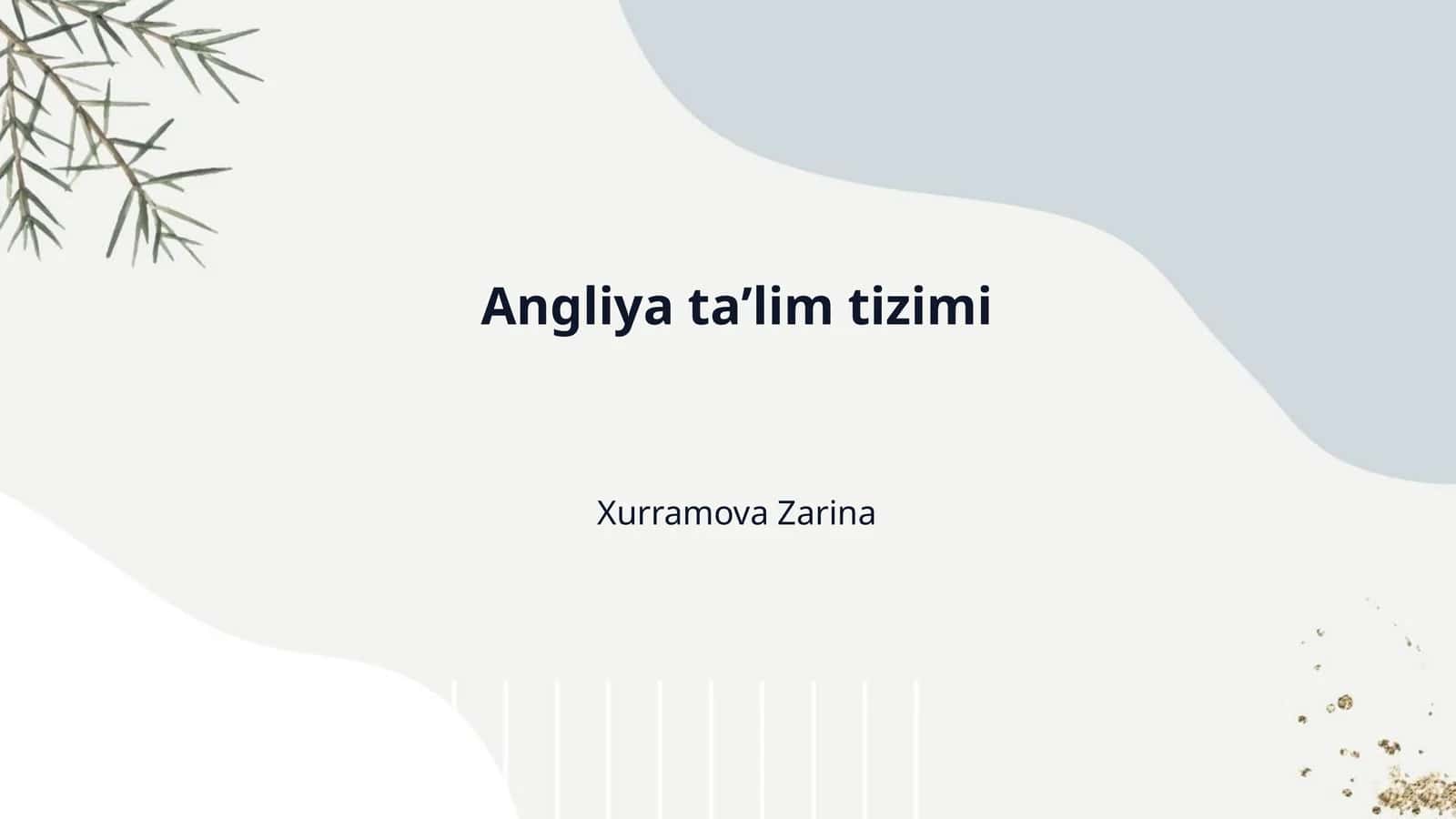 Angliya taʼlim tizimi 1