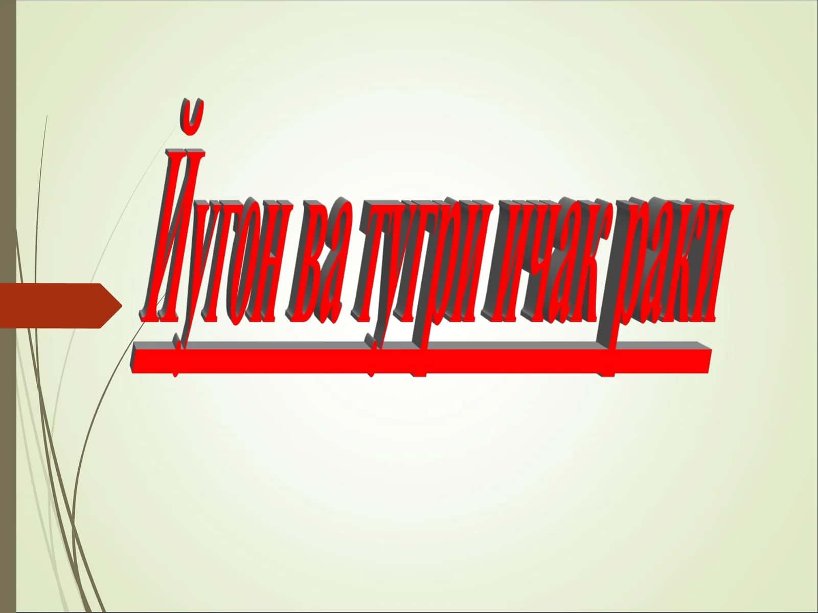 Тўғри ичак анатомияси 1