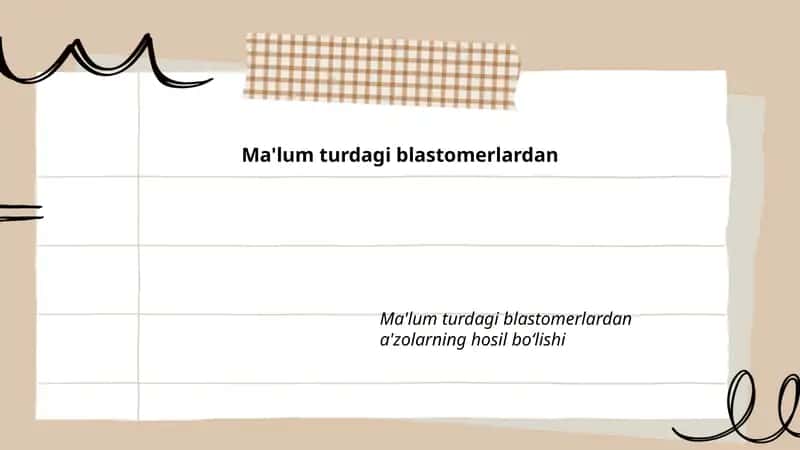 Blastomeralar Differensiasiyasi 1