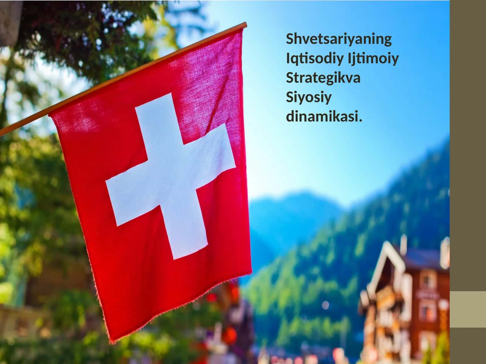 Shvetsariyaning Iqtisodiy va Siyosiy dinamikasi 1