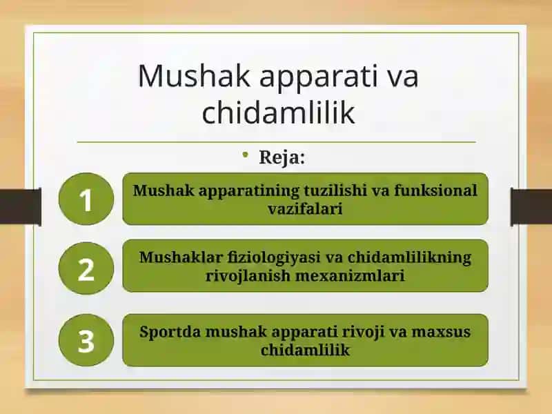 Mushak apparati va chidamlilik