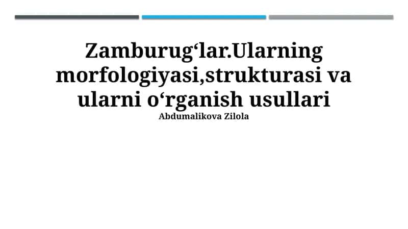 Qo'ziqorinlarning morfologiyasi, strukturasi va ularni o'rganish usullari 1