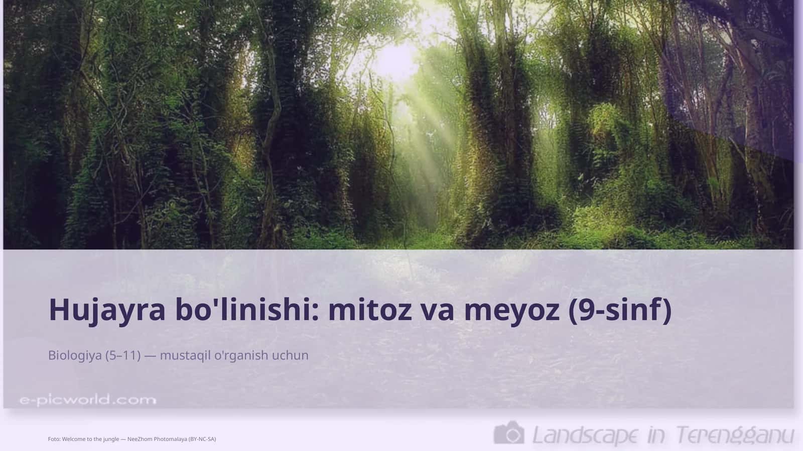 Hujayra bo'linishi: mitoz va meyoz (9-sinf) 1