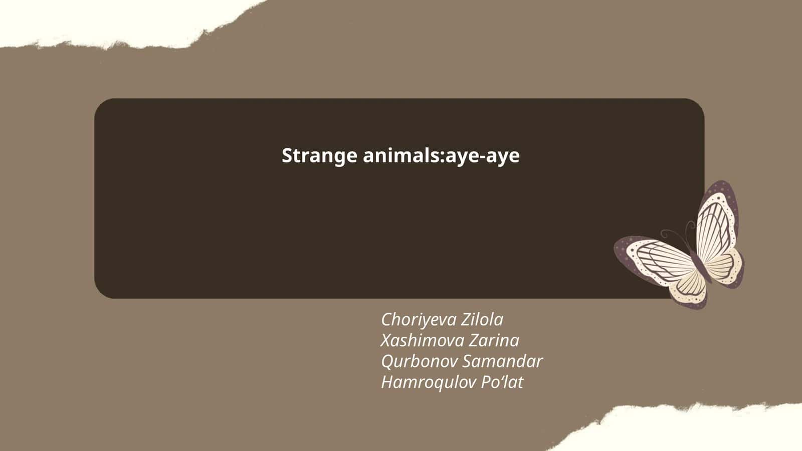 Aye-Aye's Unique Physical Features 1