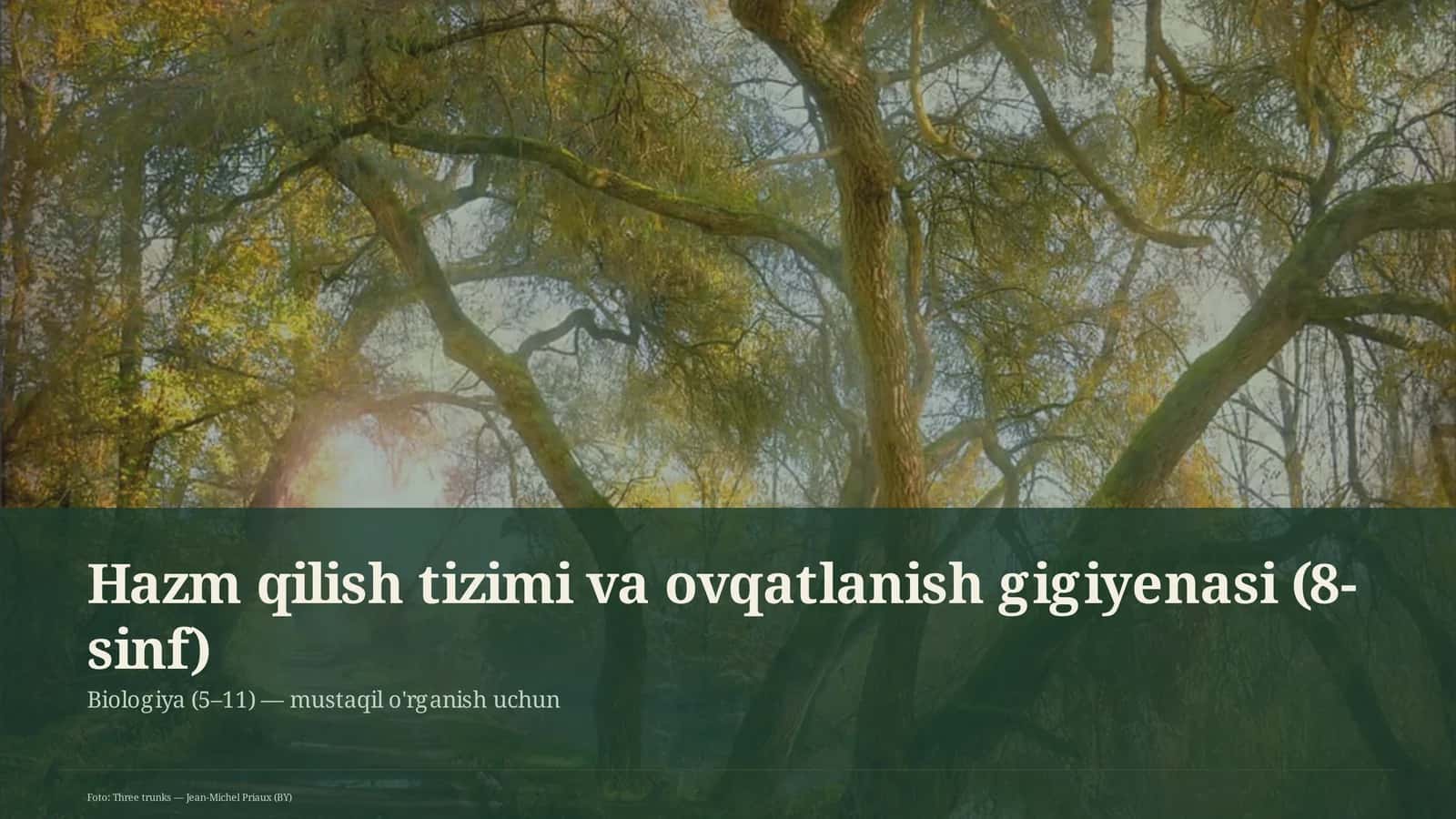 Hazm qilish tizimi va ovqatlanish gigiyenasi (8-sinf) 1