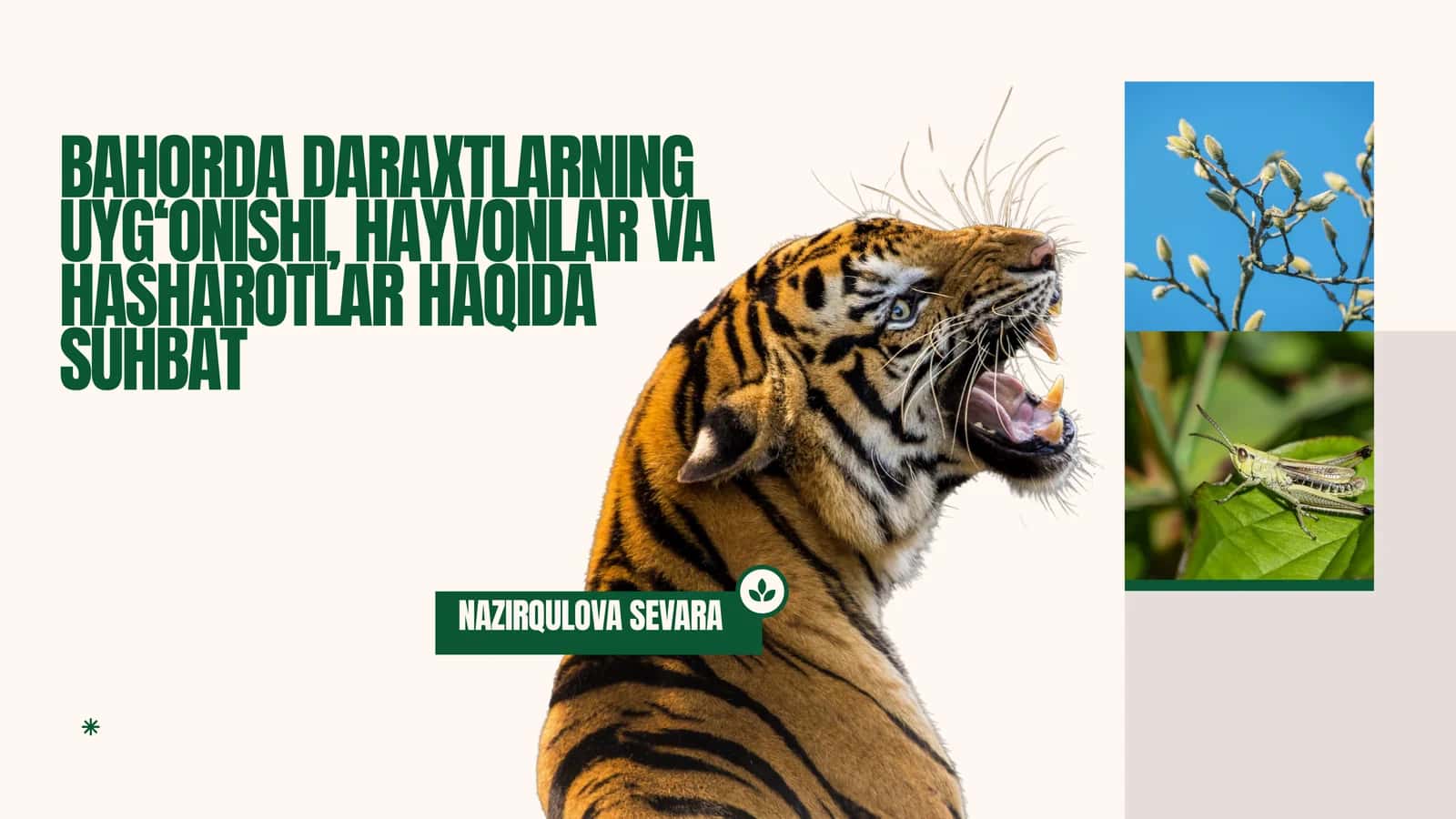 BAHORDA DARAXTLARNING UYG‘ONISHI, HAYVONLAR VA HASHAROTLAR HAQIDA SUHBAT 1