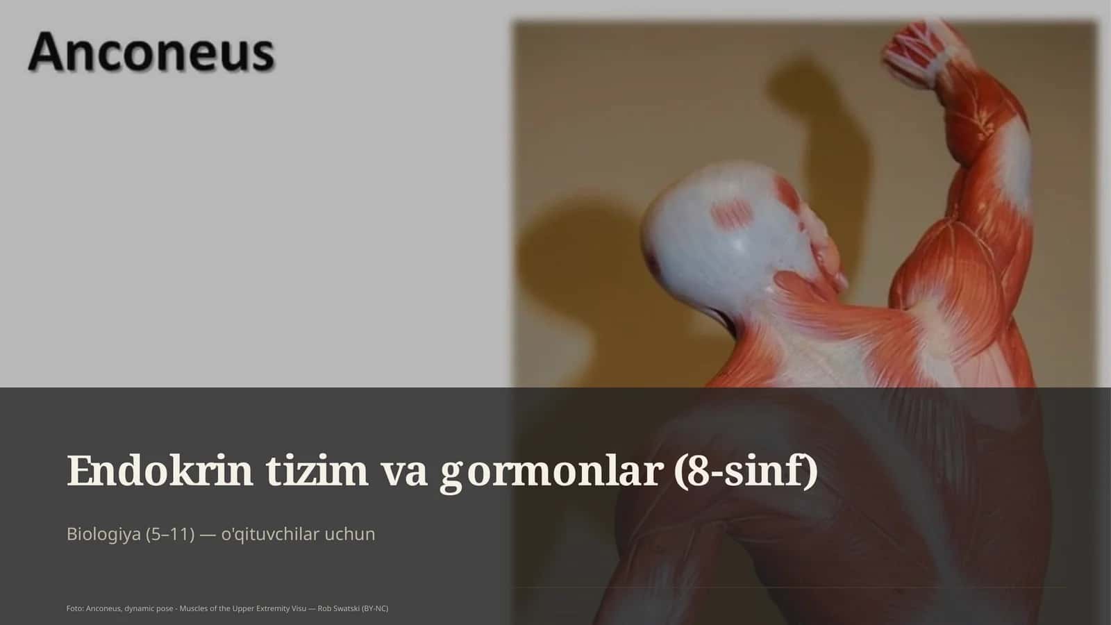 Endokrin tizim va gormonlar (8-sinf) 1