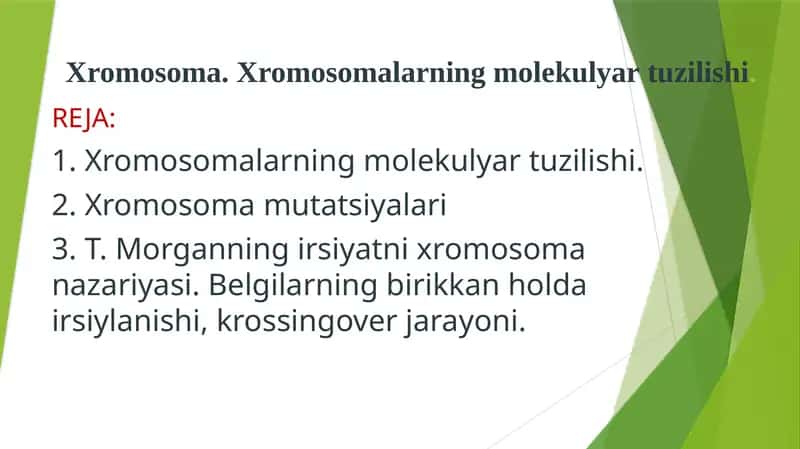 Xromosoma. Xromosomalarning molekulyar tuzilishi. 1