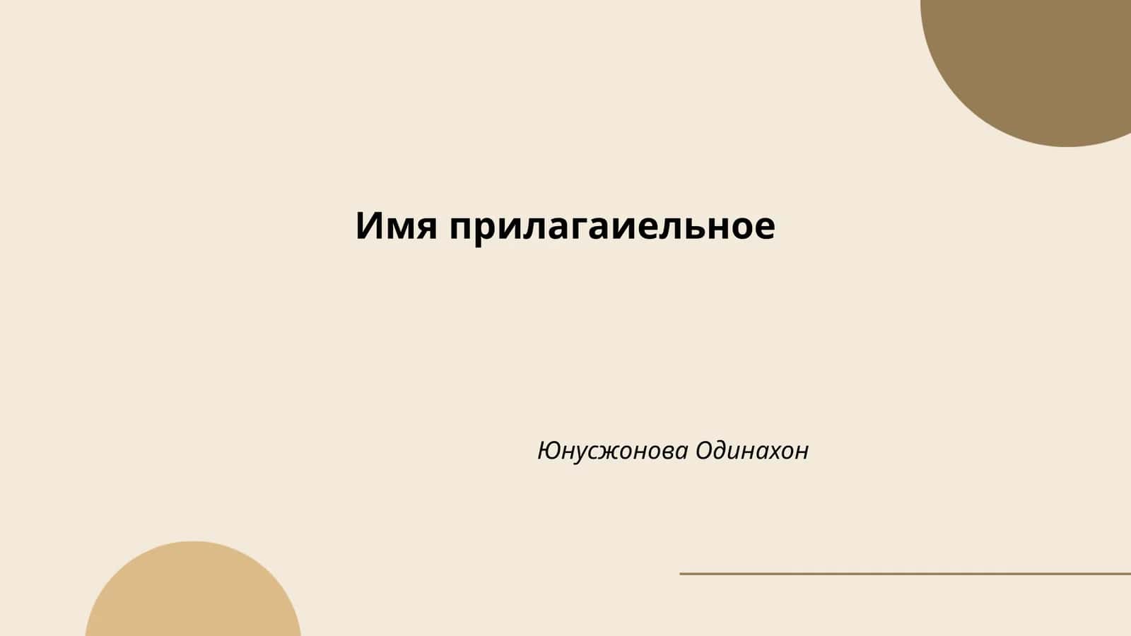 Имя прилагаиельное 1