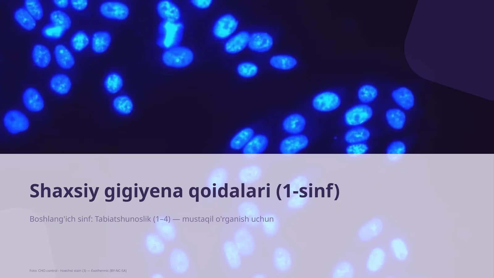 Shaxsiy gigiyena qoidalari (1-sinf) 1