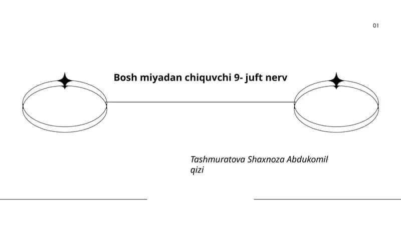 IX juft nervning umumiy anatomiyasi 1