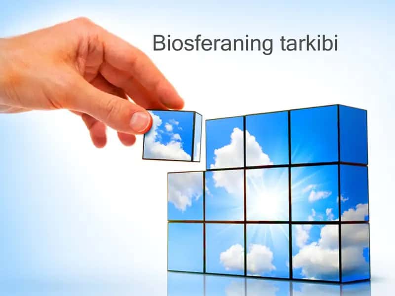 Biosferaning tarkibi 1
