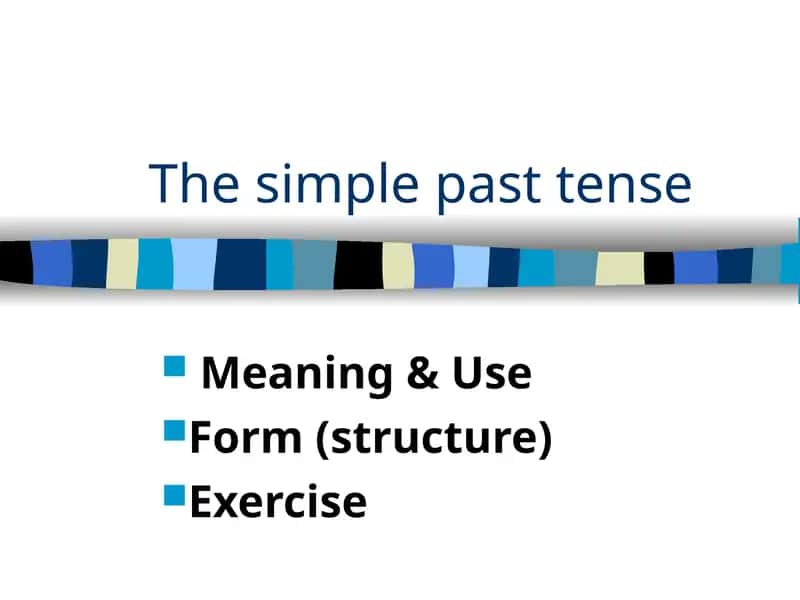 The Simple Past Tense 1