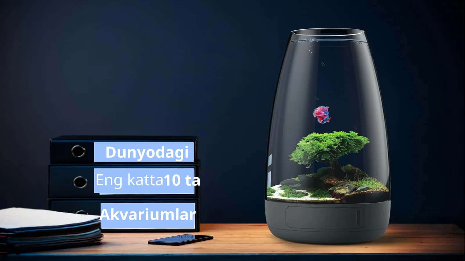 Engkatta 10 ta Dunyodagi Akvariumlar 1