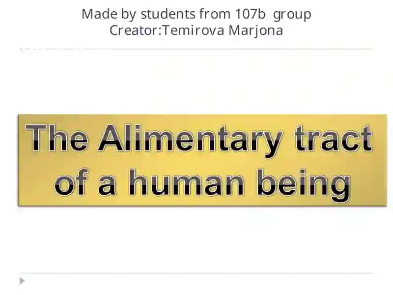 The Alimentary Tract
