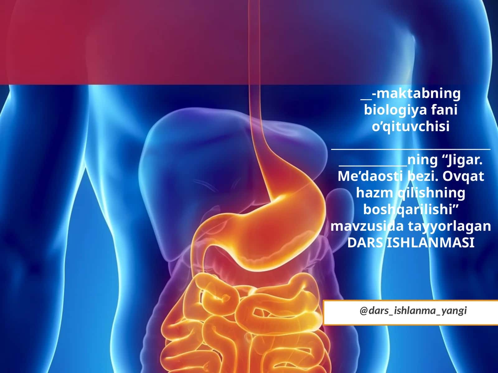 Jigar.Me’da ostibezi Ovqat hazm qilishning boshqarilishi 1