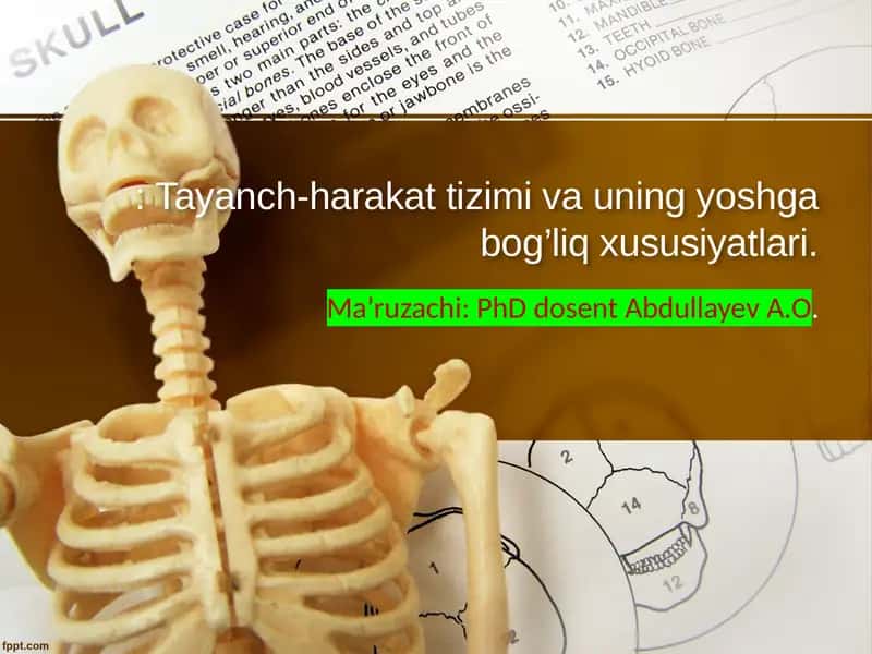 Tayanch-harakat tizimi va uning yoshga bog’liq xususiyatlari 1