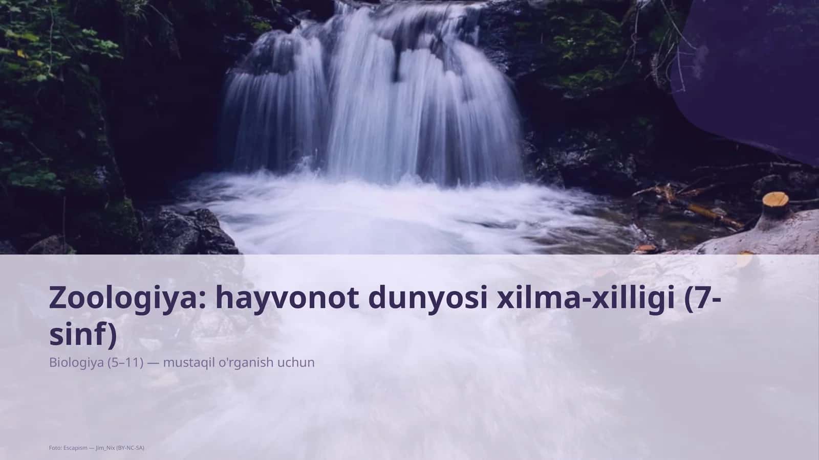 Zoologiya: hayvonot dunyosi xilma-xilligi (7-sinf) 1
